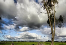 丹麦对阵瑞士的足球比赛有哪些精彩看点？